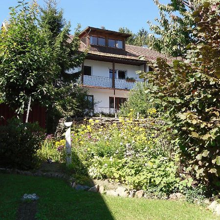 Ferienwohnung Nationalparkblick Spiegelau Esterno foto
