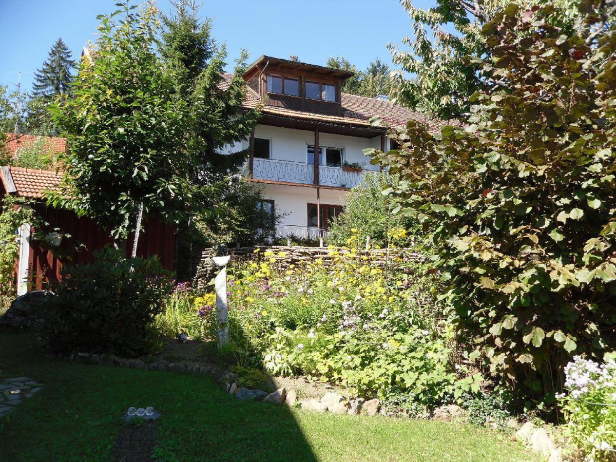 Ferienwohnung Nationalparkblick Spiegelau Esterno foto